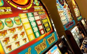 Live Casino pandar 99